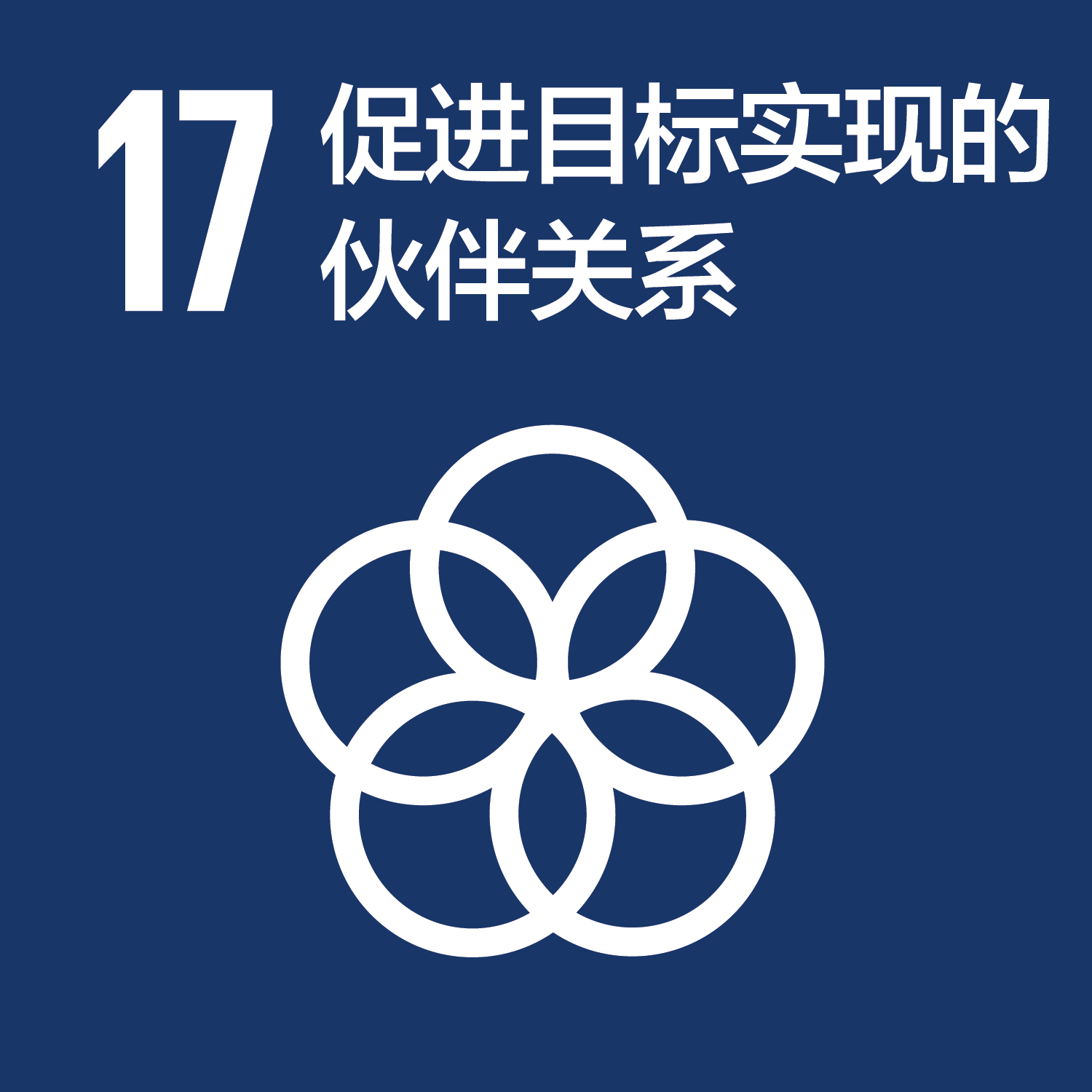 可持續發展目標-17促進目標實現的伙伴關系